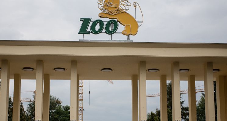 Plakat Półkolonie letnie 2026 - ZOO Wrocław
