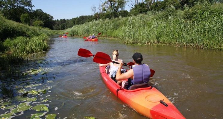 Plakat Spływ rzeką Widawą – trasa Sołtysowice-Las Rędziński z KayakTours.pl
