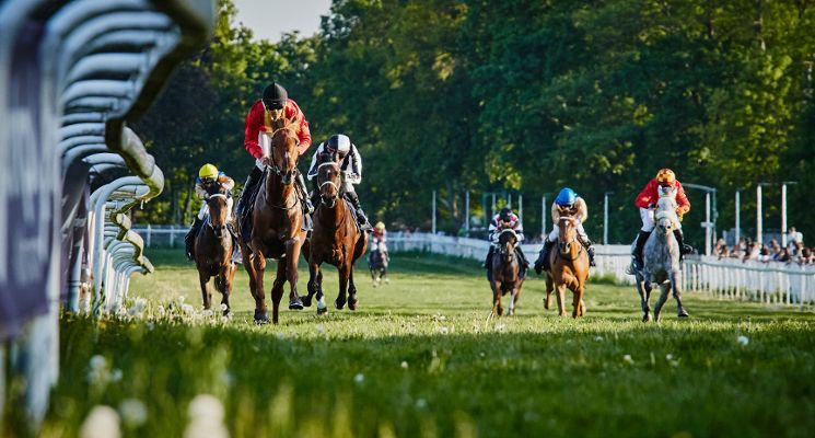 Plakat Drugi dzień wyścigowy 2026