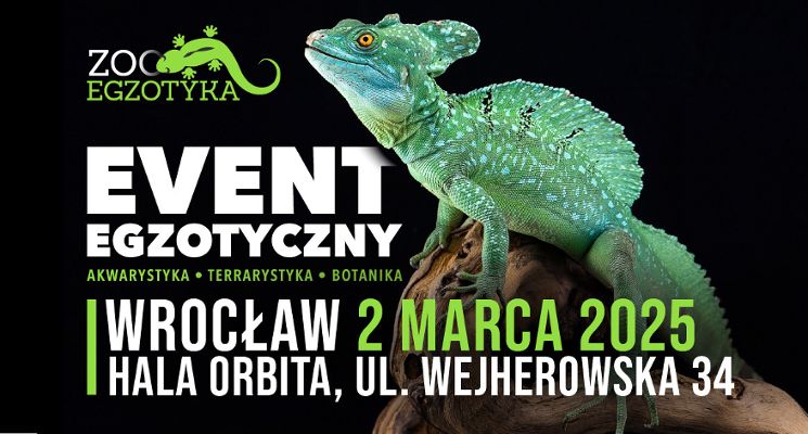 Plakat Targi ZooEgzotyka