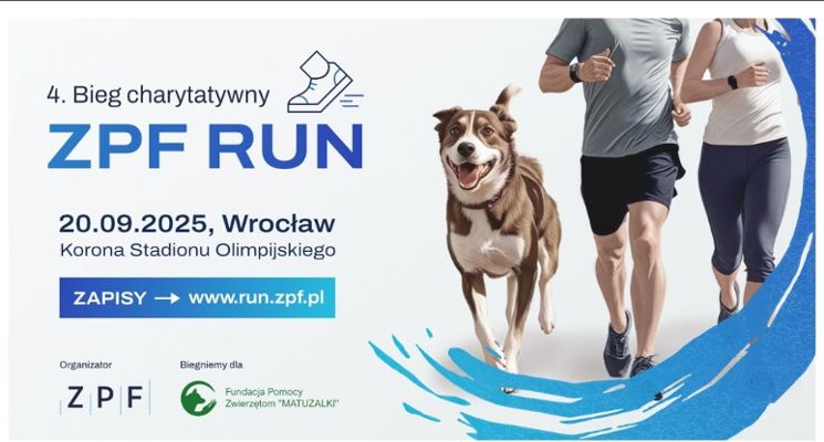 Plakat 4 Bieg charytatywny ZPF RUN dla Fundacji Pomocy Zwierzętom MATUZALKI