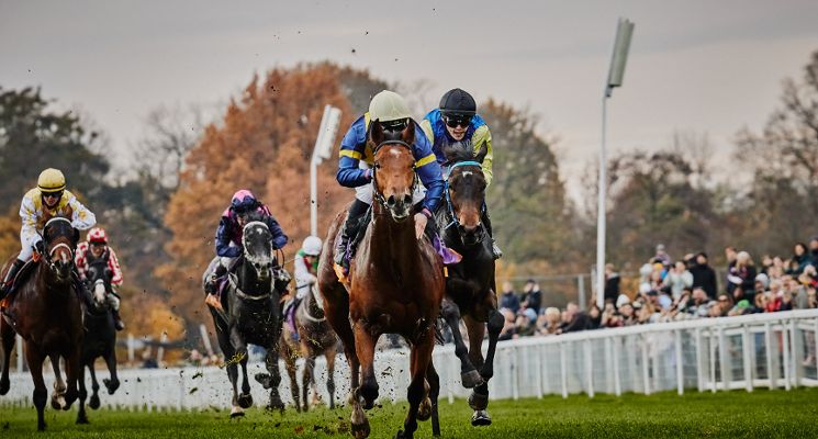 Plakat Dwunasty dzień wyścigowy 2026 - Zakończenie sezonu