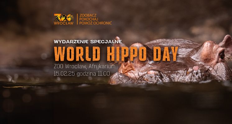 Plakat Hippo Day w ZOO. Pokazowe karmienie hipopotamów