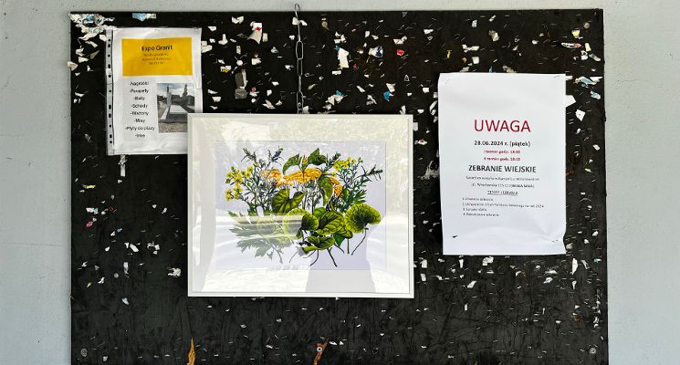 Plakat Wystawa: Ala Savashevich. Galeria Przystanek