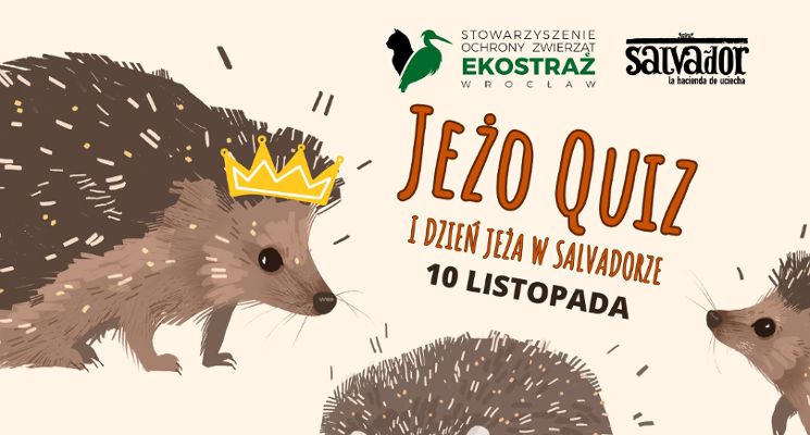 Plakat JEŻO-QUIZ Dzień Jeża w Salvadorze