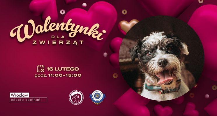 Plakat Kiermasz walentynkowy we wrocławskim schronisku