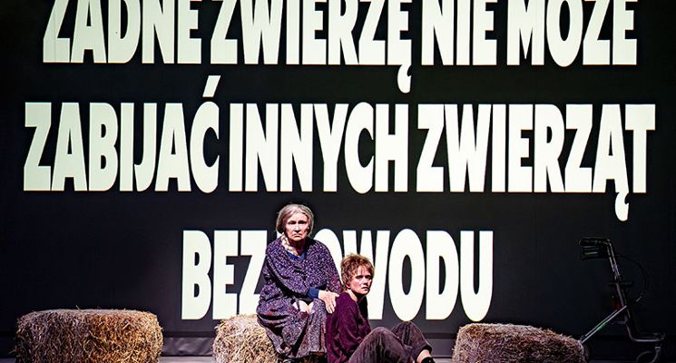 Plakat Folwark zwierzęcy – Teatr Polski we Wrocławiu