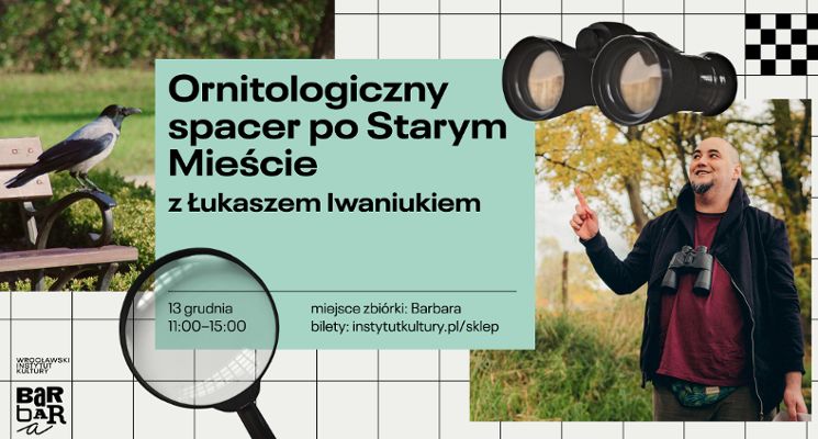 Plakat Ornitologiczny spacer po Starym Mieście