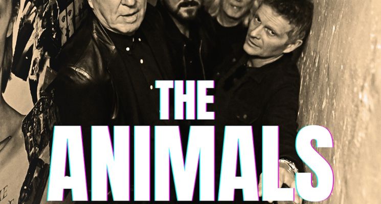 Plakat THE ANIMALS feat. John Steel