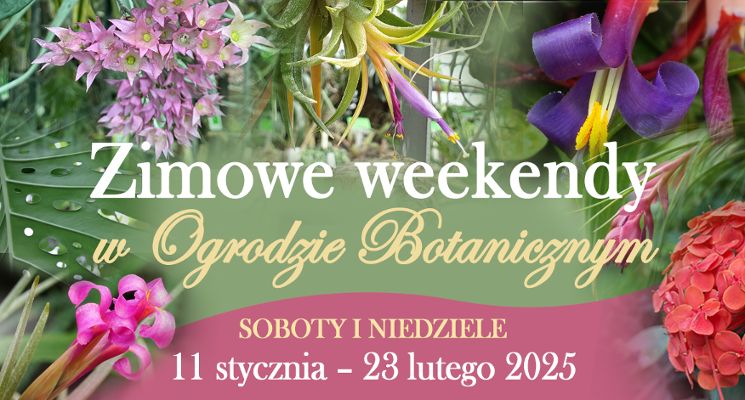 Plakat Zimowe weekendy w Ogrodzie Botanicznym