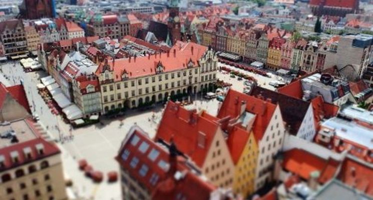 Plakat Bezpłatne Spacery Letnie – Fundacja Katarynka