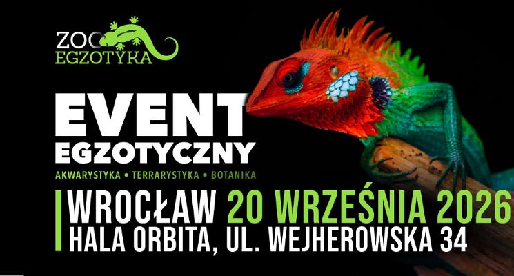 Plakat ZooEgzotyka
