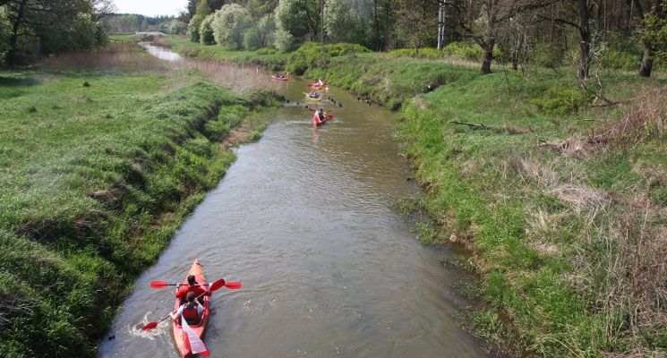 Plakat Spływy kajakowe - Majówka 2026