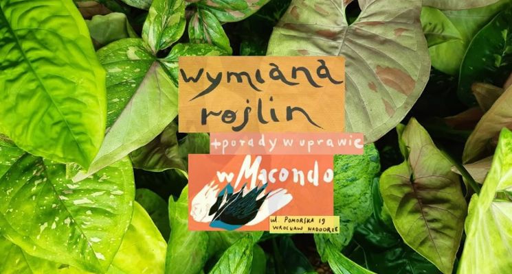 Plakat Wymiana roślin i porady w uprawie w Macondo