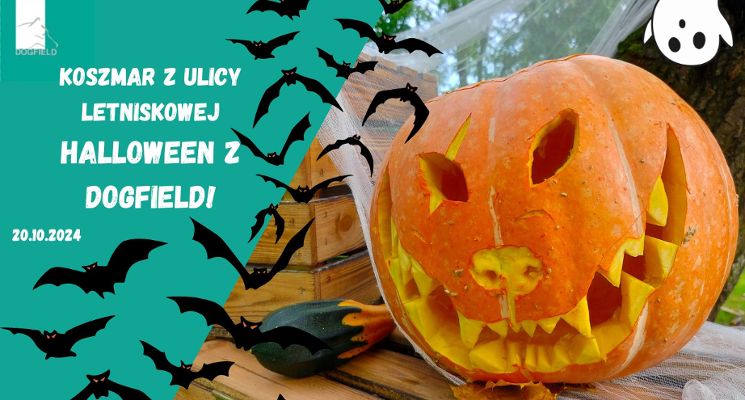 Plakat Koszmar z ulicy Letniskowej! Halloween z Dogfield