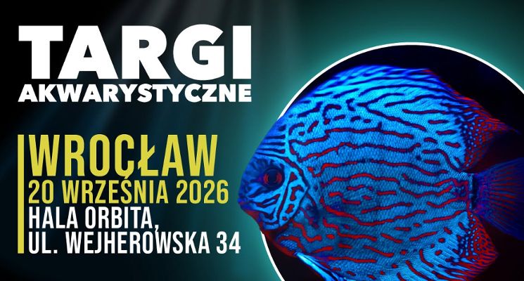 Plakat Targi akwarystyczne