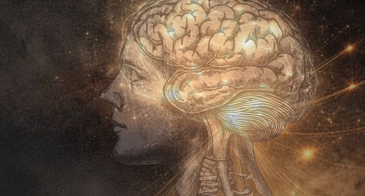 Plakat Schizofrenia i inne psychozy - wykład