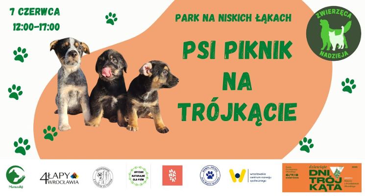 Plakat Psi Piknik na Trójkącie