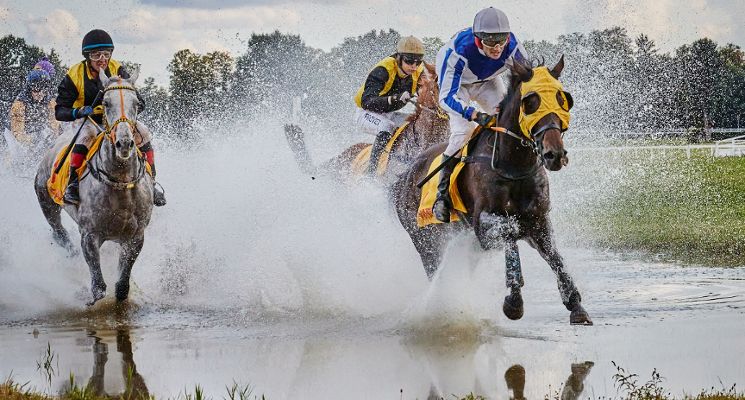 Plakat Ósmy dzień wyścigowy 2026 – Wielka Wrocławska Nagroda Prezydenta Wrocławia