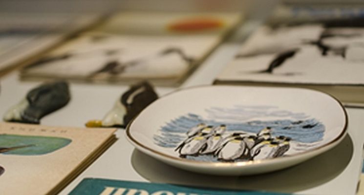 Plakat Wystawa: „Magiczny świat pingwinów”