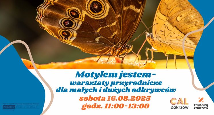 Plakat Motylem jestem – warsztaty przyrodnicze dla małych i dużych odkrywców