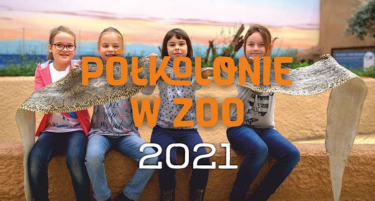 Plakat Półkolonie 2021 w Zoo Wrocław