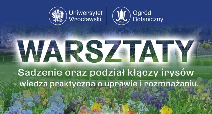 Plakat Sadzenie oraz podział kłączy irysów - warsztaty