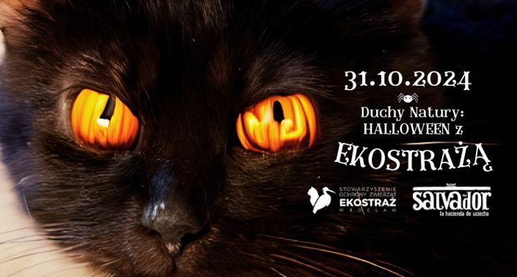 Plakat Duchy Natury: Halloween z Ekostrażą