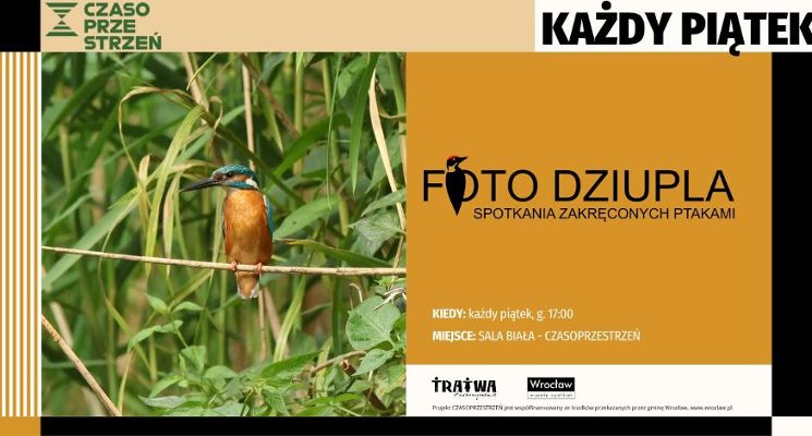 Plakat Foto Dziupla - spotkania zakręconych ptakami