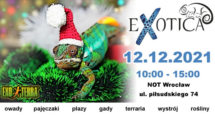 Plakat Exotica Wrocław