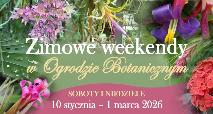 Plakat Zimowe weekendy w Ogrodzie Botanicznym