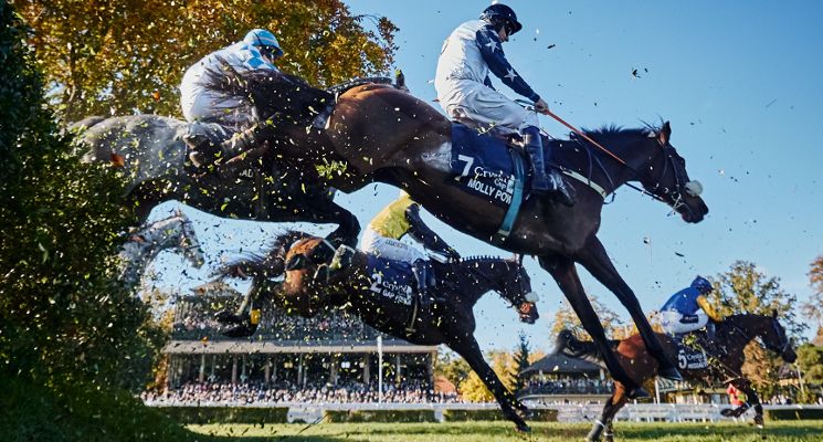 Plakat Jedenasty dzień wyścigowy 2026 - Crystal Cup