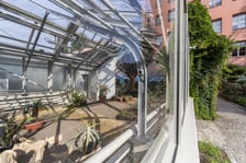 Trwa remont zabytkowych szklarni w Ogrodzie Botanicznym. Wewnątrz znajduja się już pierwsze rośliny