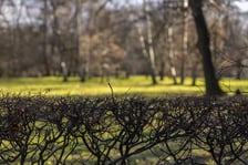 Park Wschodni na osiedlu Księże