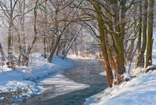 Tereny wodonośne