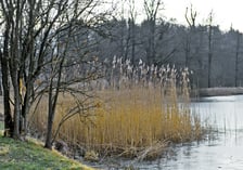 Tereny wodonośne