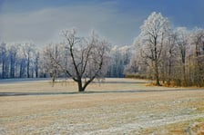 Tereny wodonośne