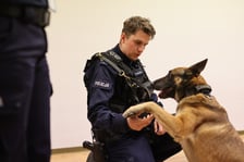 <h2>Kto może zostać policjantem i policjantką</h2>
<p>Policjantem i policjantką może zostać każdy, kto spełnia poniższe wymagania:</p>
<p>&nbsp;</p>
<ul>
<li>obywatel polski o nieposzlakowanej opinii;</li>
<li>kt&oacute;ry nie był skazany prawomocnym wyrokiem sądu za przestępstwo lub przestępstwo skarbowe;</li>
<li>korzystający z pełni praw publicznych;</li>
<li>posiadający co najmniej średnie wykształcenie;</li>
<li>posiadający zdolność fizyczną i psychiczną do służby w formacjach uzbrojonych, podległych szczeg&oacute;lnej dyscyplinie służbowej, kt&oacute;rej got&oacute;w jest się podporządkować;</li>
<li>dający rękojmię zachowania tajemnicy stosownie do wymog&oacute;w określonych w przepisach o ochronie informacji niejawnych.</li>
</ul>