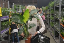 Festiwal Roślin i Festiwal Malarstwa w Czasoprzestrzeni