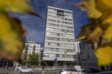 <p>Trzonolinowiec</p>