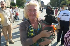 <p>V Parada Ps&oacute;w Wrocławskich przeszła ulicami miasta na Wyspę Słodową&nbsp;</p>