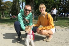 <p>V Parada Ps&oacute;w Wrocławskich przeszła ulicami miasta na Wyspę Słodową&nbsp;</p>