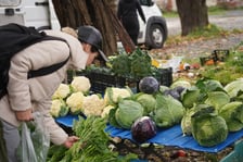 <p>Targ na Dowcu Świebodzkim (niedziela 5 listopada)</p>