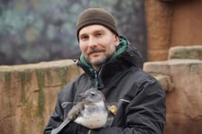<p>Paweł Borecki, doktorant UPWr, opiekun pingwin&oacute;w w zoo Wrocław z jednym ze swoich podopiecznych</p>