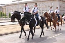 <p>Obchody Święta Narodowego Trzeciego Maja (Wrocław 3.05.2024)</p>