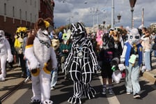 Wrocławski Furwalk 2024