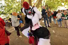 Wrocławski Furwalk 2024