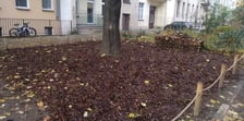 Rekultywacja skwerów, placyków i terenów zielonych w centrum Wrocławia.