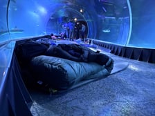 <p>W Tunelu Mozambickim wrocławskiego Afrykarium można spędzić noc.&nbsp;</p>