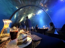 <p>W Tunelu Mozambickim wrocławskiego Afrykarium można także zjeść kolację.</p>